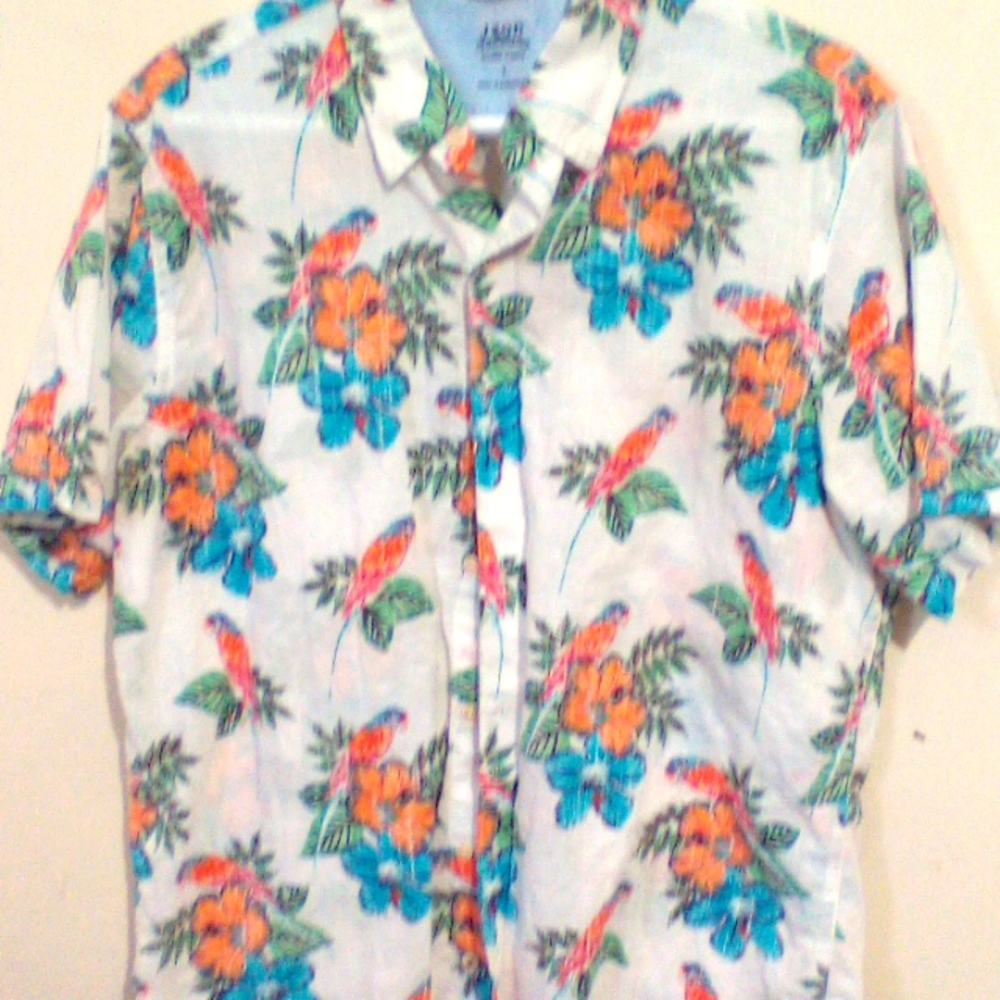 Men's Short Sleeve Button Down Shirt
